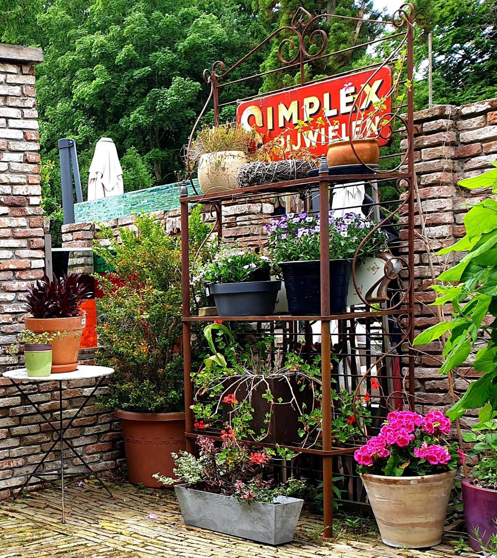 L'Amour Pur Schoorl Pokój zdjęcie