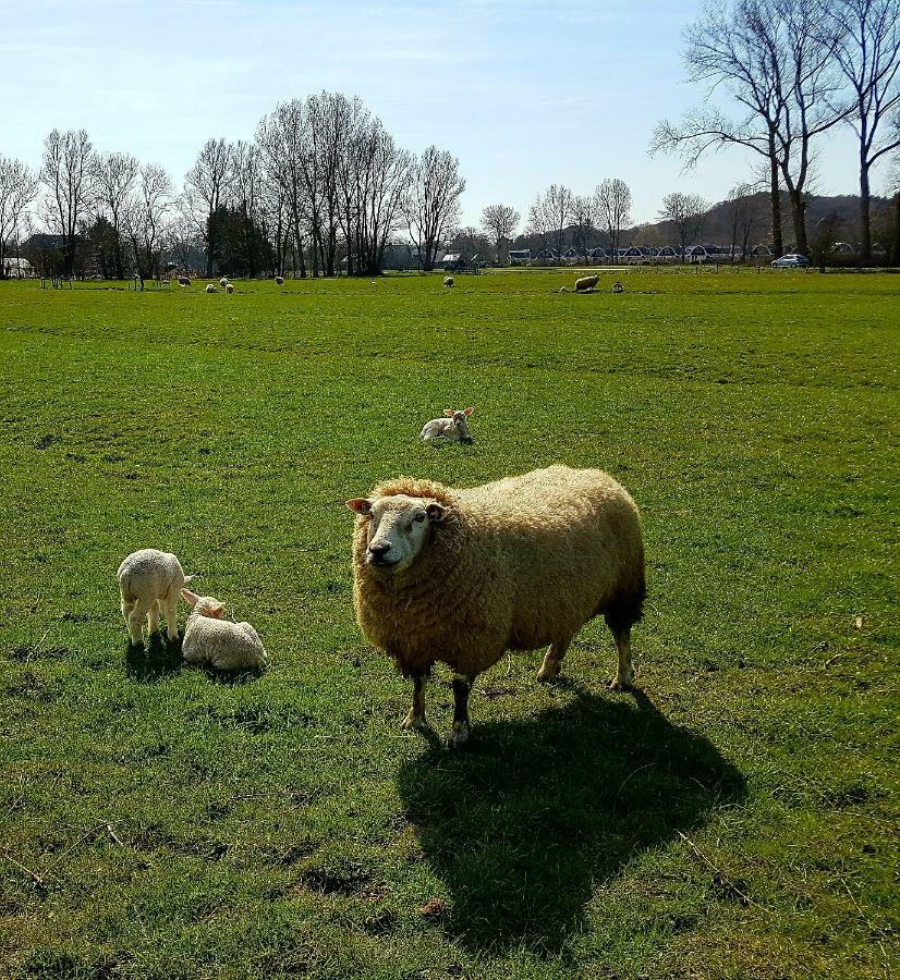 L'Amour Pur Schoorl Zewnętrze zdjęcie