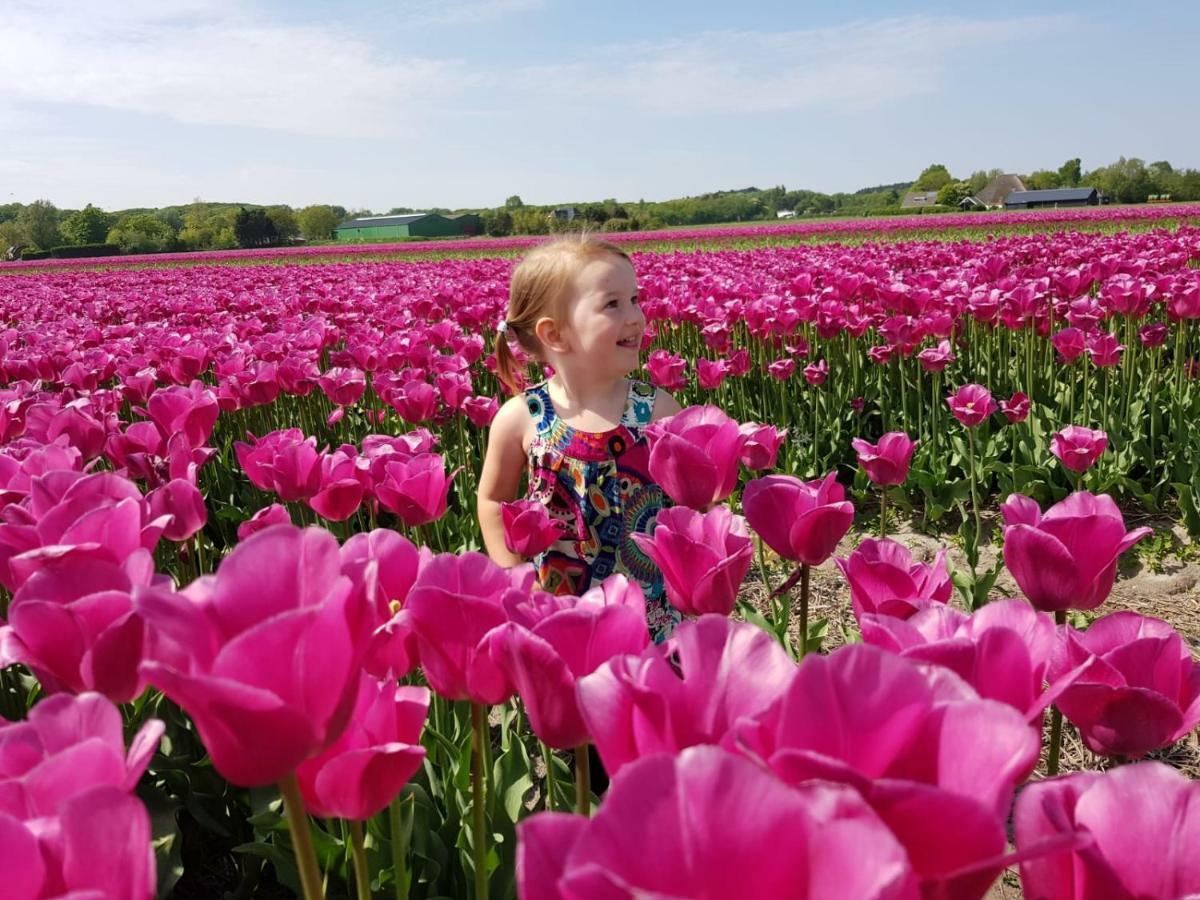 L'Amour Pur Schoorl Zewnętrze zdjęcie