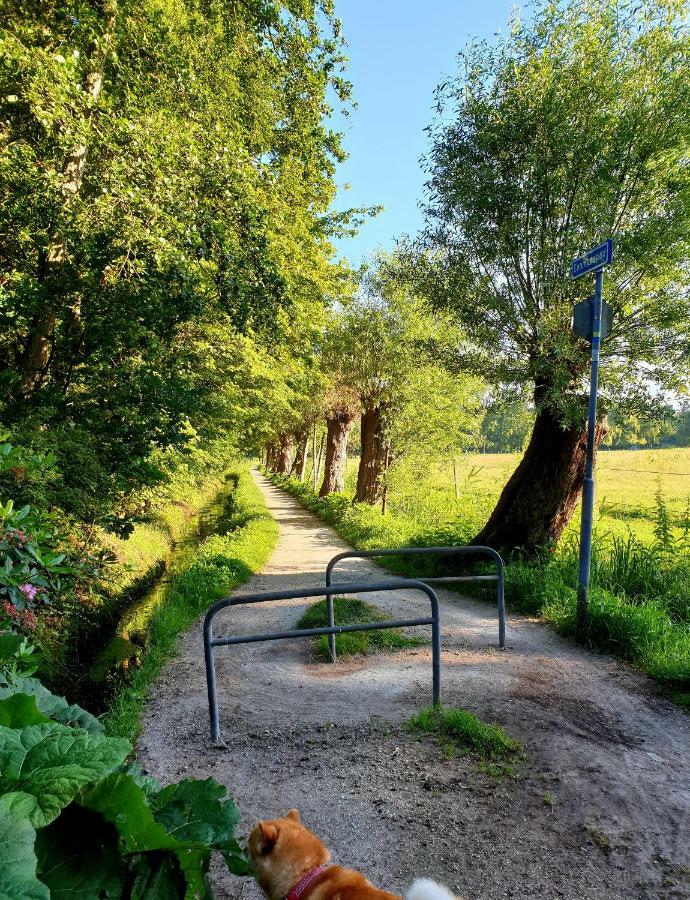 L'Amour Pur Schoorl Zewnętrze zdjęcie
